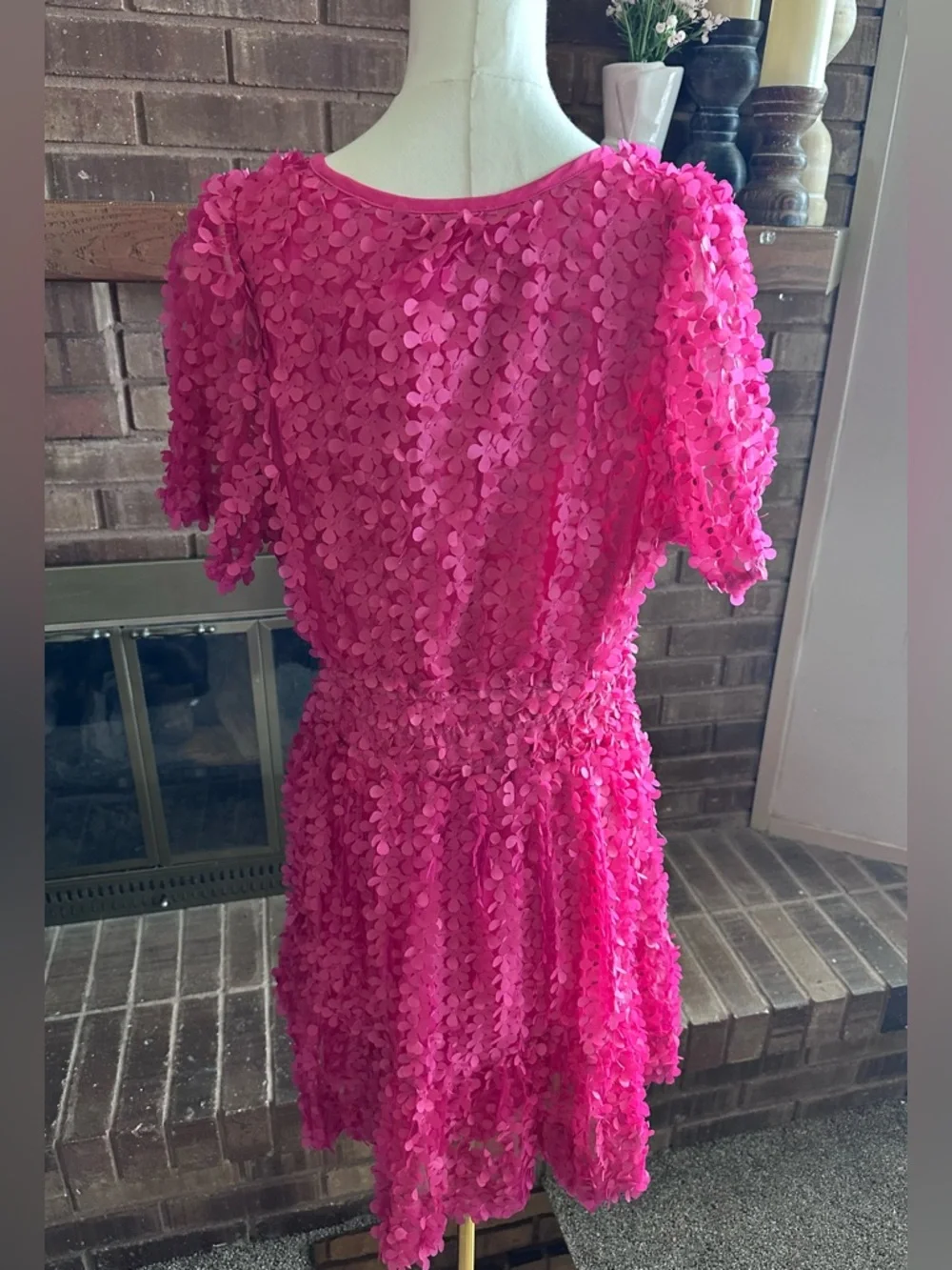 NWT Anthropologie Pink Somerset Floral Appliqué Mini Dress  XLP Stunning! - Picture 7 of 8